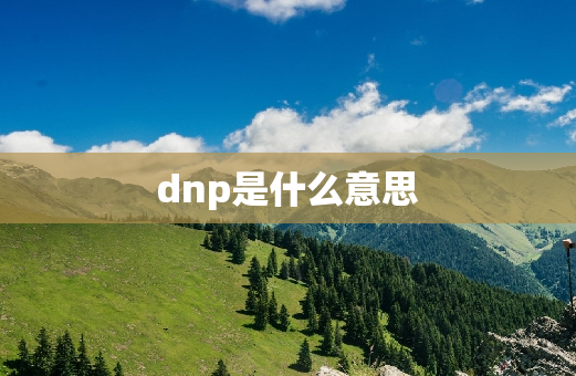 dnp是什么意思