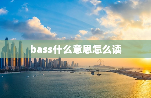 bass什么意思怎么读