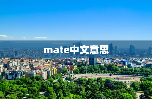 mate中文意思