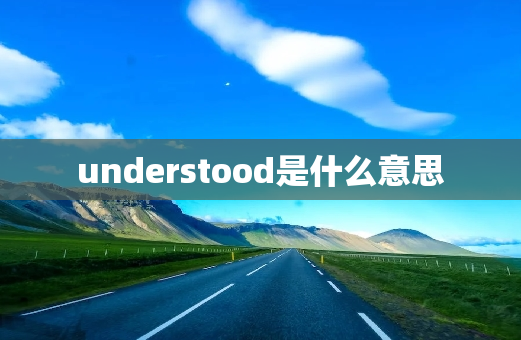 understood是什么意思