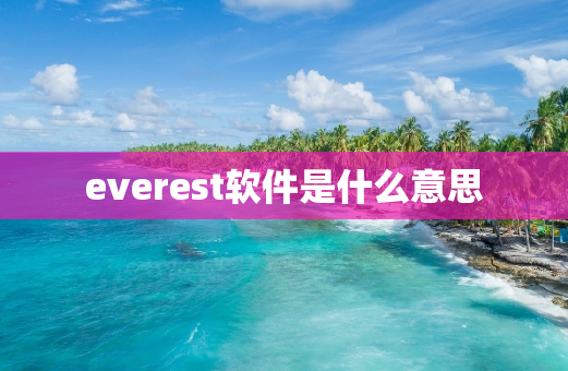 everest软件是什么意思