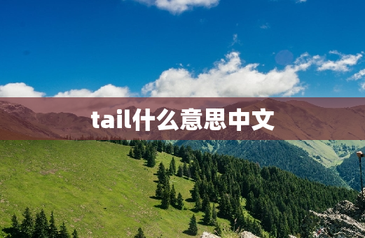 tail什么意思中文