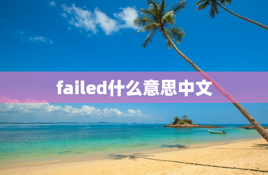 failed什么意思中文