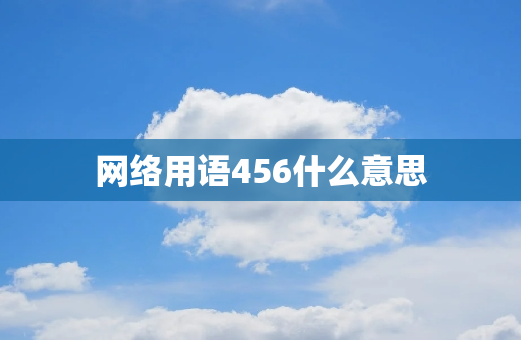 网络用语456什么意思