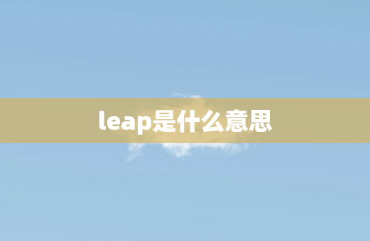 leap是什么意思