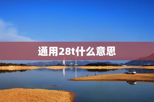 通用28t什么意思