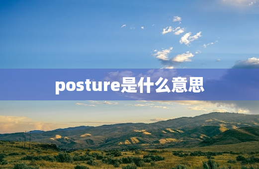 posture是什么意思