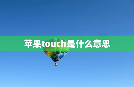 苹果touch是什么意思