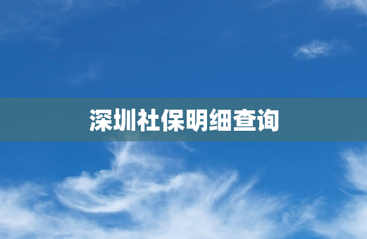 深圳社保明细查询