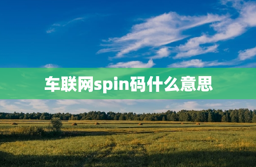 车联网spin码什么意思