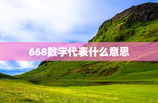 668数字代表什么意思