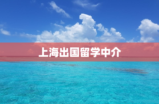 上海出国留学中介