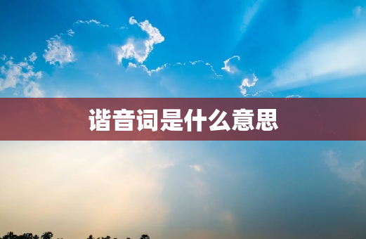 谐音词是什么意思