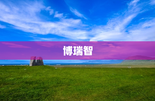 博瑞智