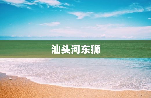 汕头河东狮