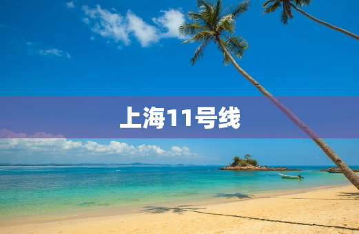 上海11号线