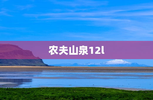 农夫山泉12l