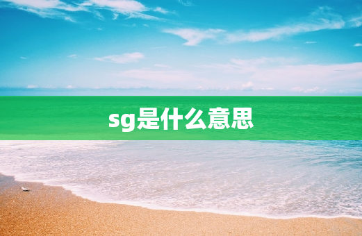 sg是什么意思