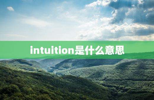 intuition是什么意思