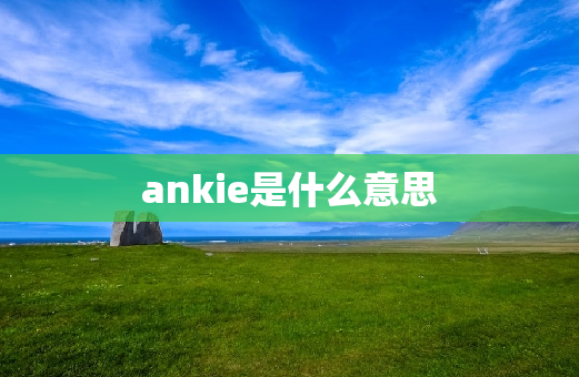ankie是什么意思
