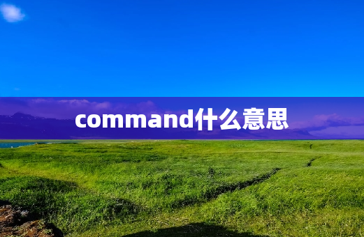 command什么意思