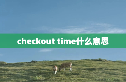 checkout time什么意思