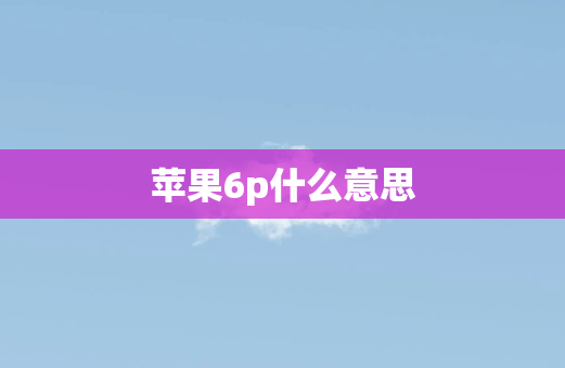 苹果6p什么意思