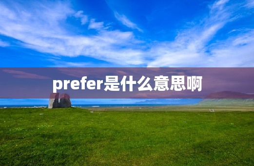 prefer是什么意思啊