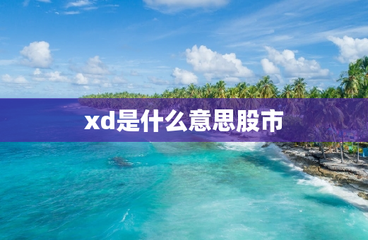 xd是什么意思股市