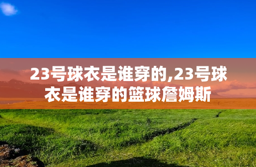 23号球衣是谁穿的,23号球衣是谁穿的篮球詹姆斯