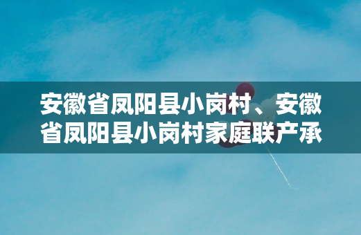 安徽省凤阳县小岗村、安徽省凤阳县小岗村家庭联产承包责任制