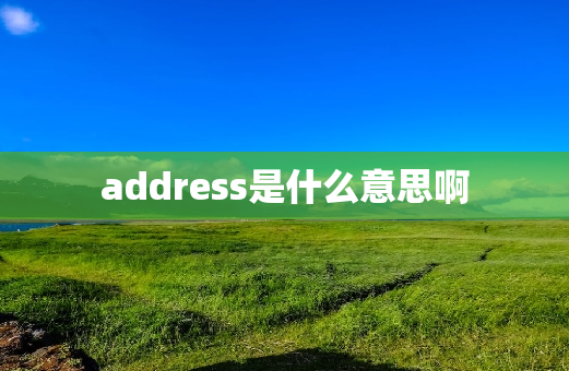 address是什么意思啊