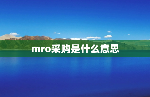 mro采购是什么意思