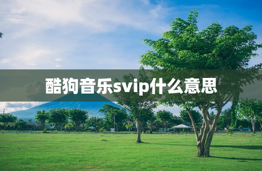 酷狗音乐svip什么意思