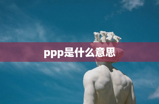 ppp是什么意思