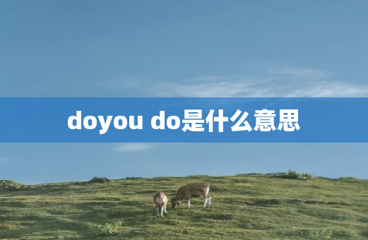 doyou do是什么意思