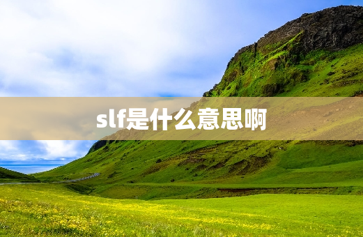 slf是什么意思啊