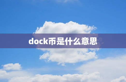 dock币是什么意思