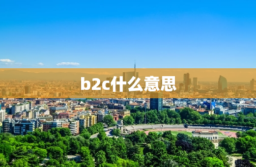 b2c什么意思