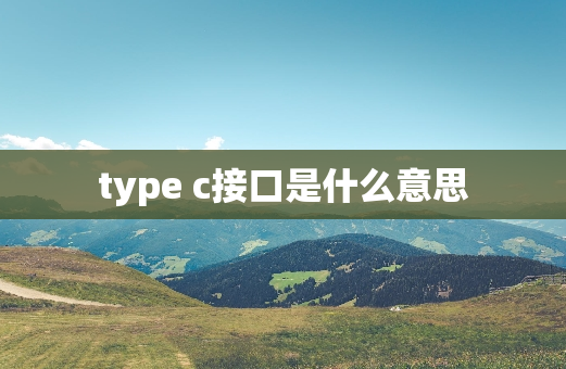 type c接口是什么意思