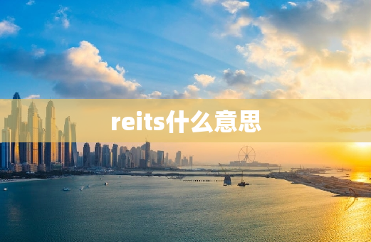 reits什么意思