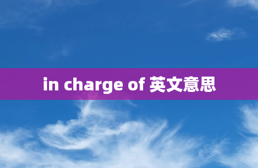 in charge of 英文意思