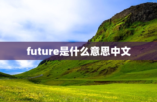 future是什么意思中文