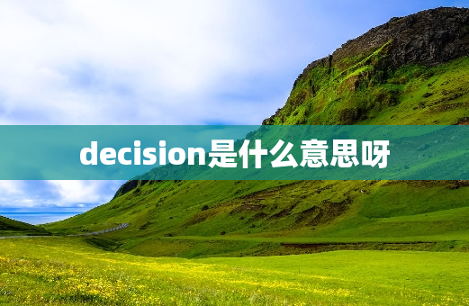 decision是什么意思呀