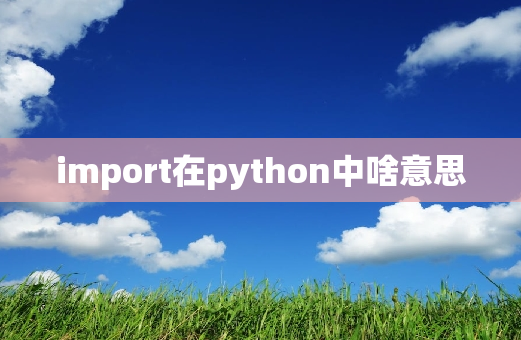 import在python中啥意思