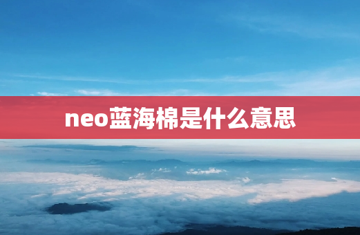 neo蓝海棉是什么意思