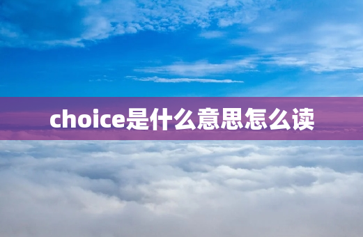 choice是什么意思怎么读