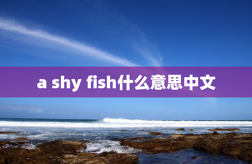 a shy fish什么意思中文