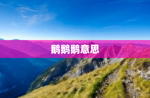 鹅鹅鹅意思